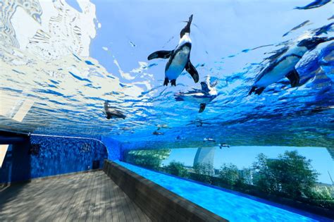 水族館 デート 東京|【都内＆東京近郊】デートにオススメな水族館10選.